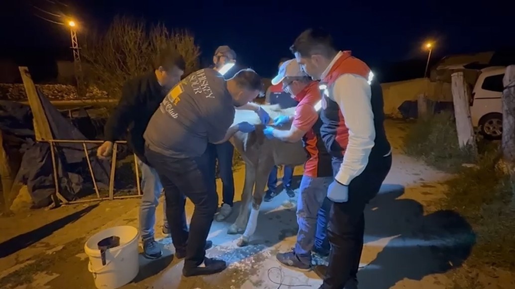 Birinci sınıf öğrencisi Eyüphan yaralı tayı için Bakan Yumaklı’dan destek istedi: Ekipler yardımına koştu
