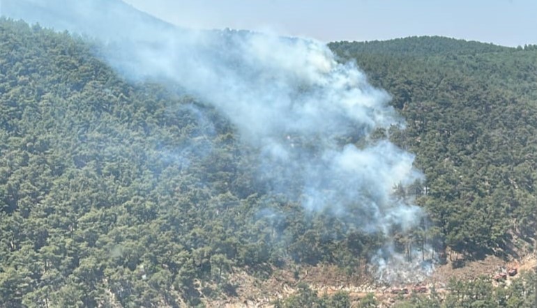 Ekipler orman yangını için seferber oldu