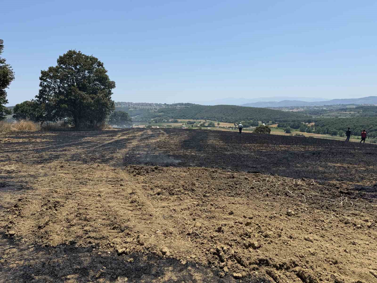 Sakarya&rsquo;da 150 d&ouml;n&uuml;ml&uuml;k tarım arazisi k&uuml;l oldu
