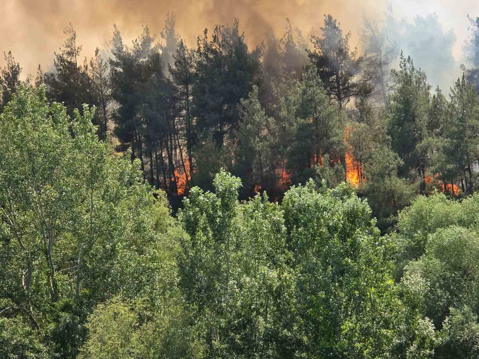 Bursa’da ormanlık alanda yangın: Ekipler müdahale ediyor