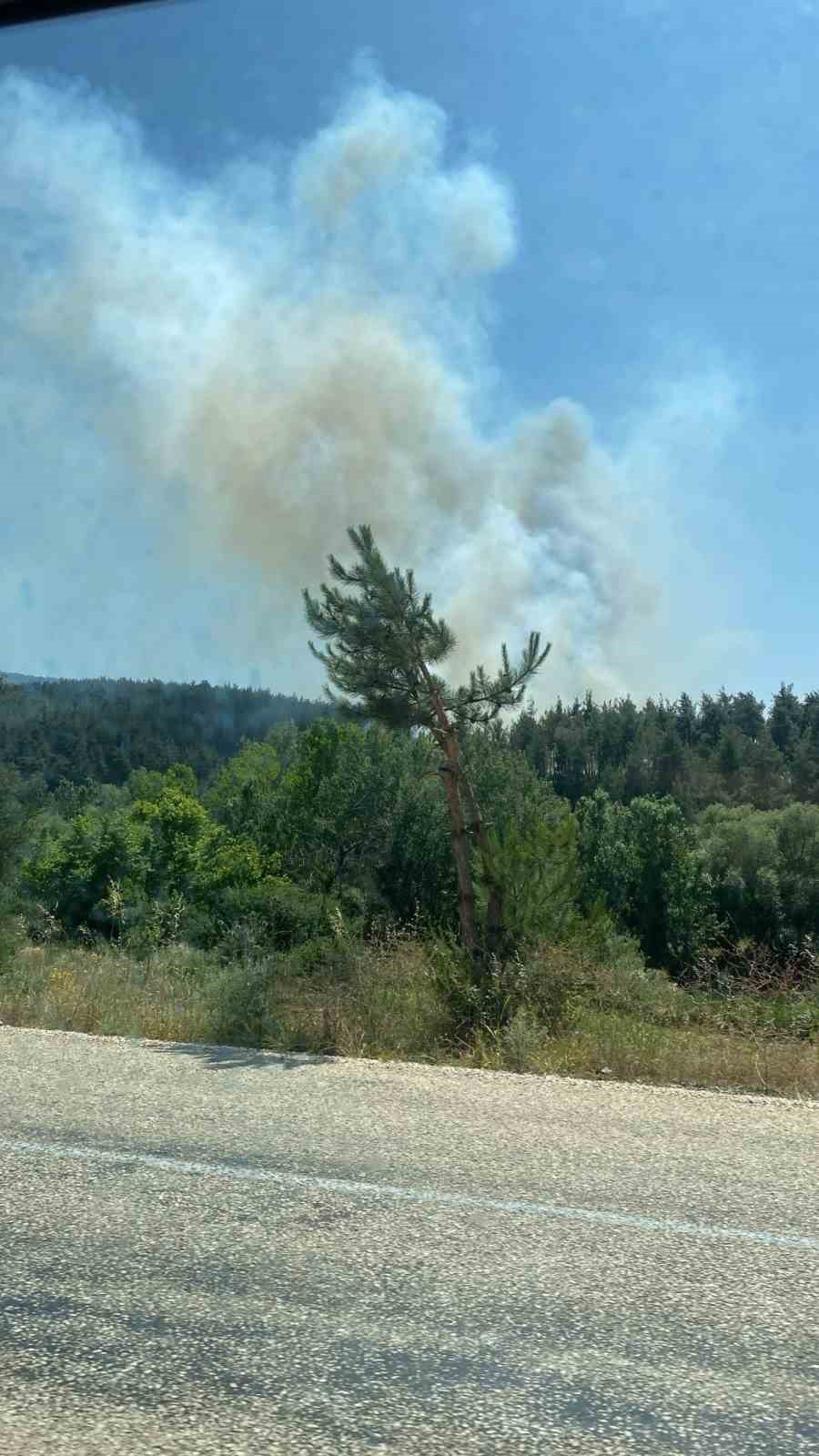 Bursa&rsquo;da ormanlık alanda yangın: Ekipler m&uuml;dahale ediyor
