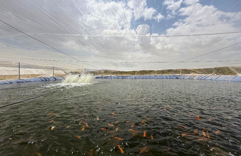 TİKA, Filistin&rsquo;de &uuml;retim tesisleri kuruyor
