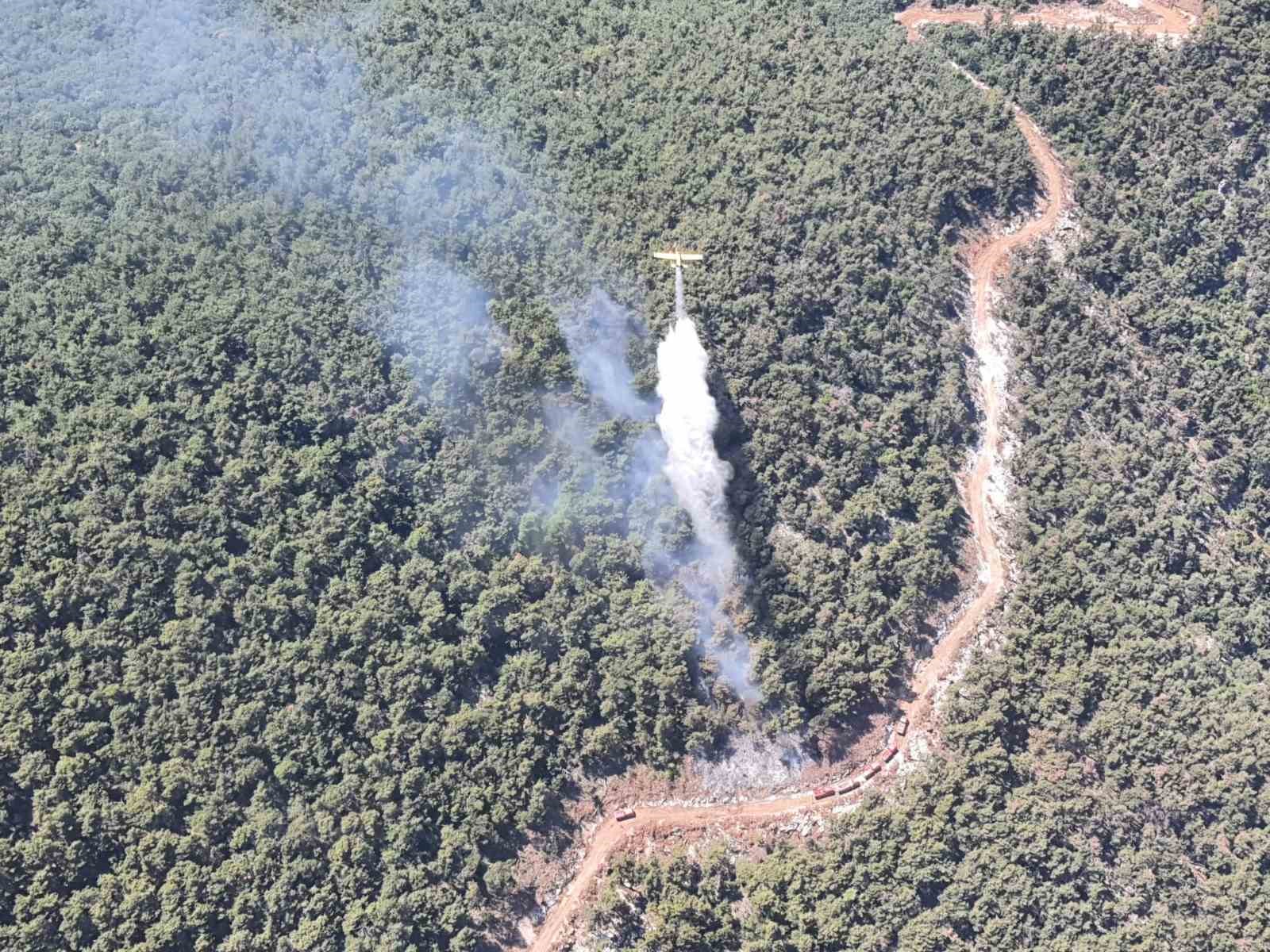 Manisa’daki orman yangını kontrol altına alındı