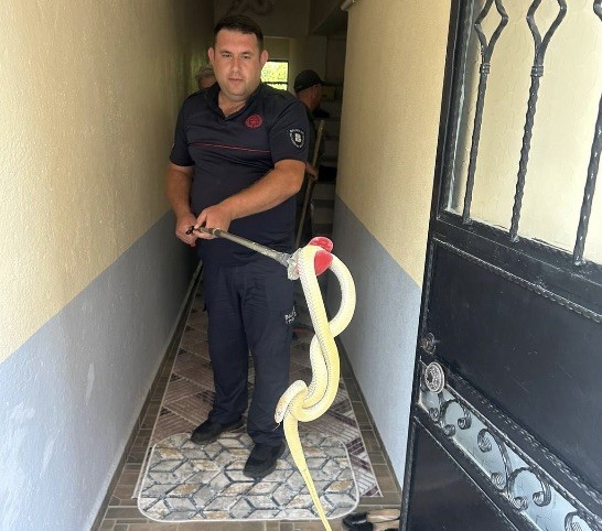 Gönen’de eve giren yılan paniğe neden oldu
