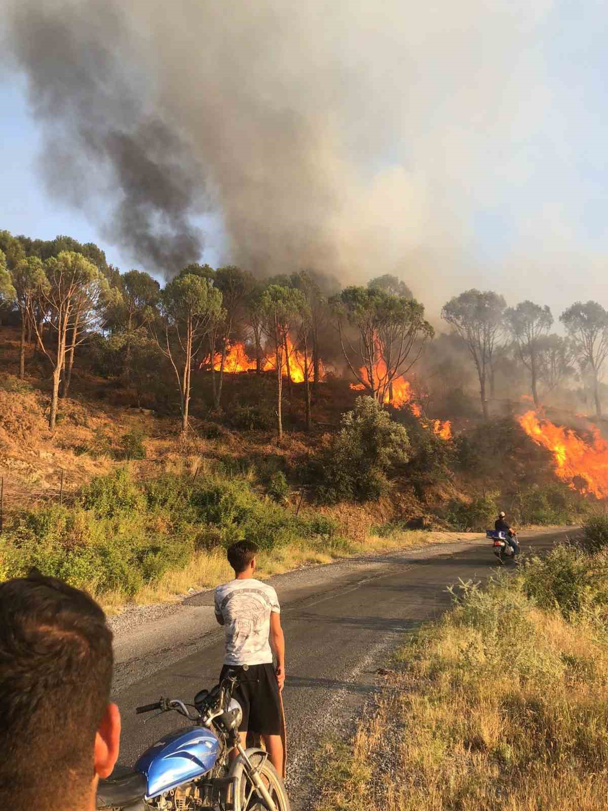 Ko&ccedil;arlı&rsquo;da orman yangını: &Ccedil;ok sayıda ekip sevk edildi
