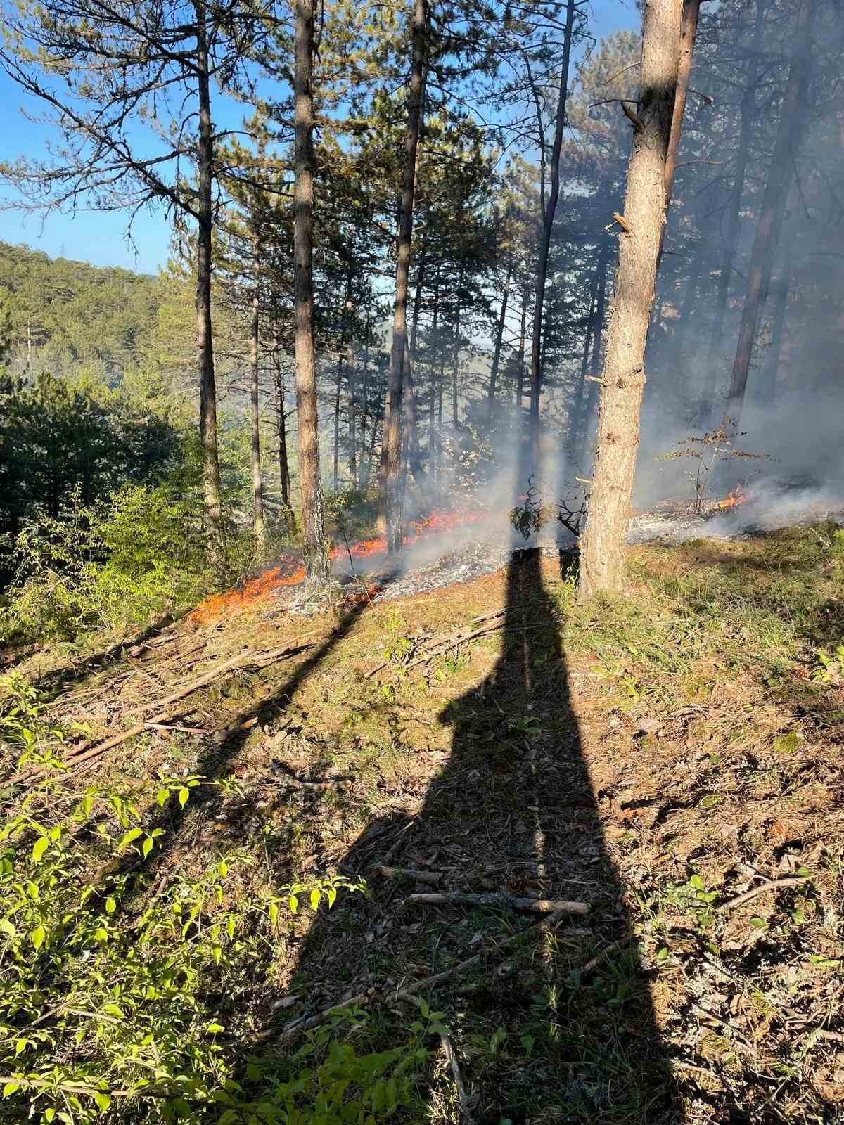 Bolu&rsquo;da &ouml;rt&uuml; yangını: 1 hektar zarar g&ouml;rd&uuml;
