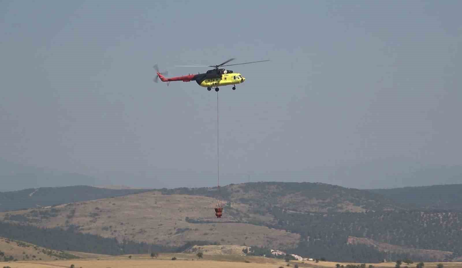 Balıkesir’de orman yangını