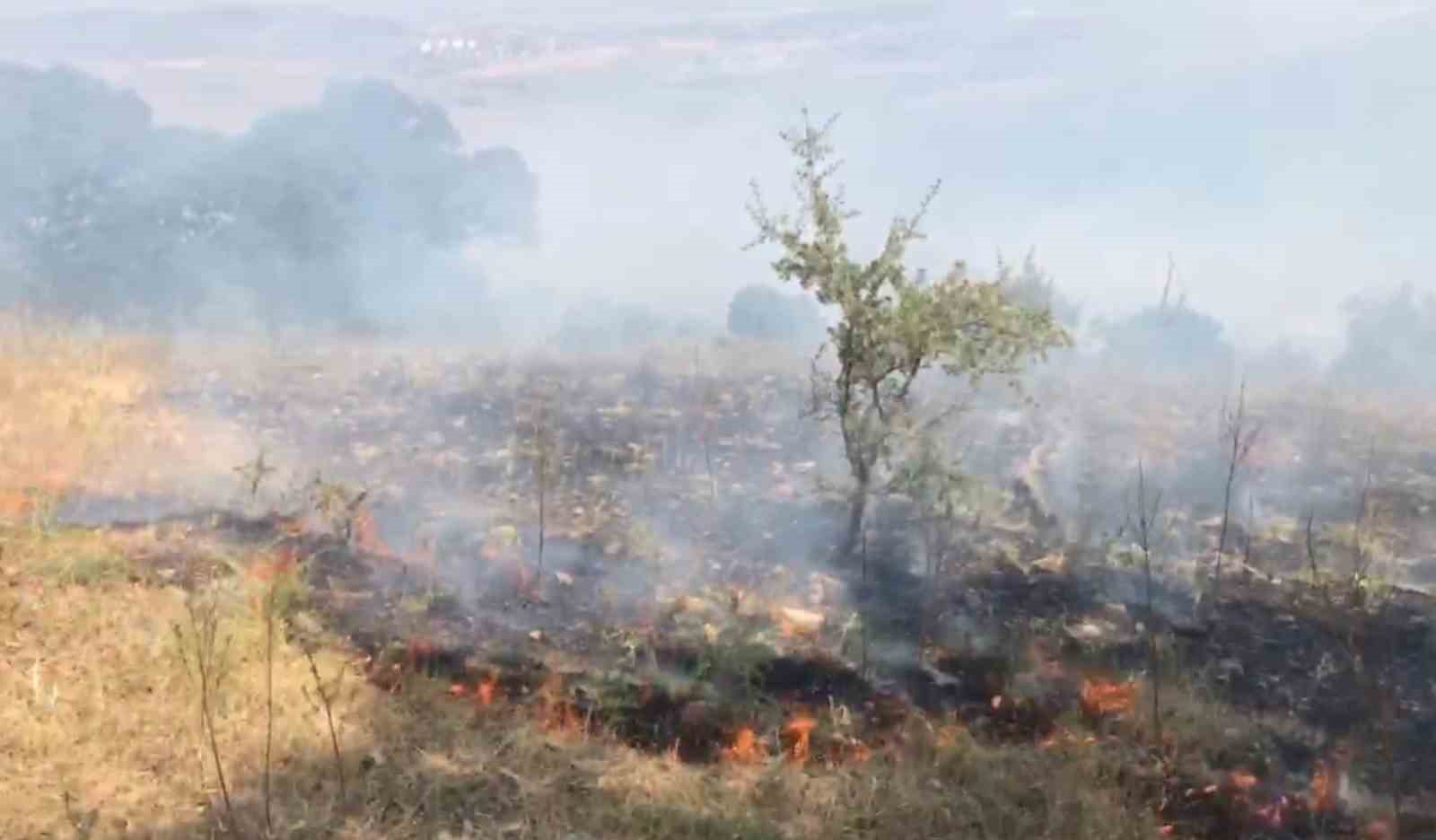 Balıkesir&rsquo;de orman yangını

