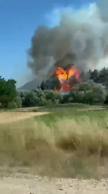 Bursa&rsquo;daki orman yangını kontrol altına alındı
