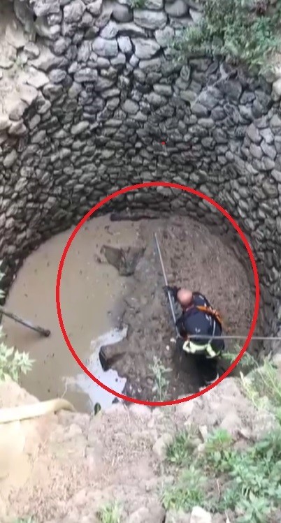Kuyuya d&uuml;ş&uuml;p mahsur kalan &ccedil;akal kurtarıldı
