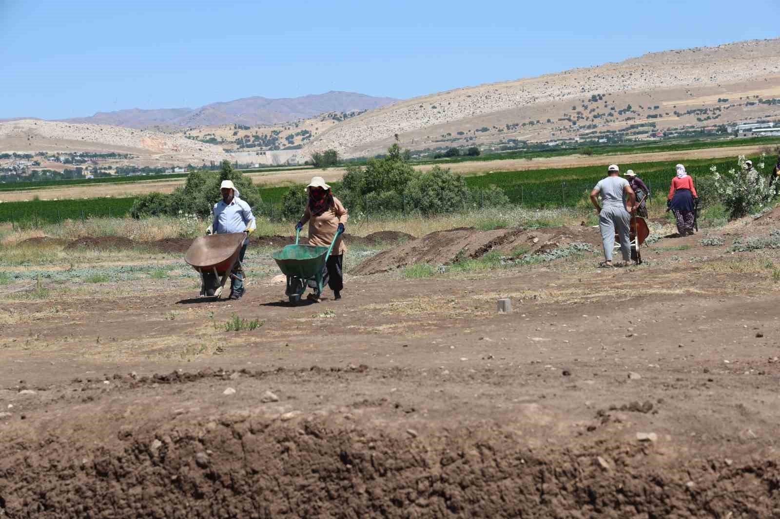 Evde pirin&ccedil;ten taş ayıklayan kadınlar, arkeolojik kazılarda buluntu ve veri ayıklıyor
