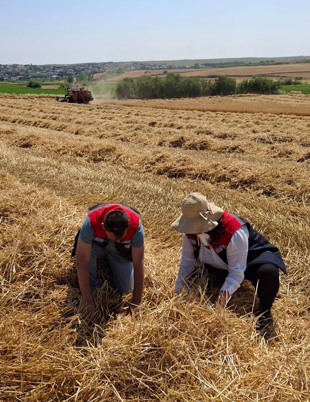Hayrabolu’da biçerdöver denetimleri sürüyor
