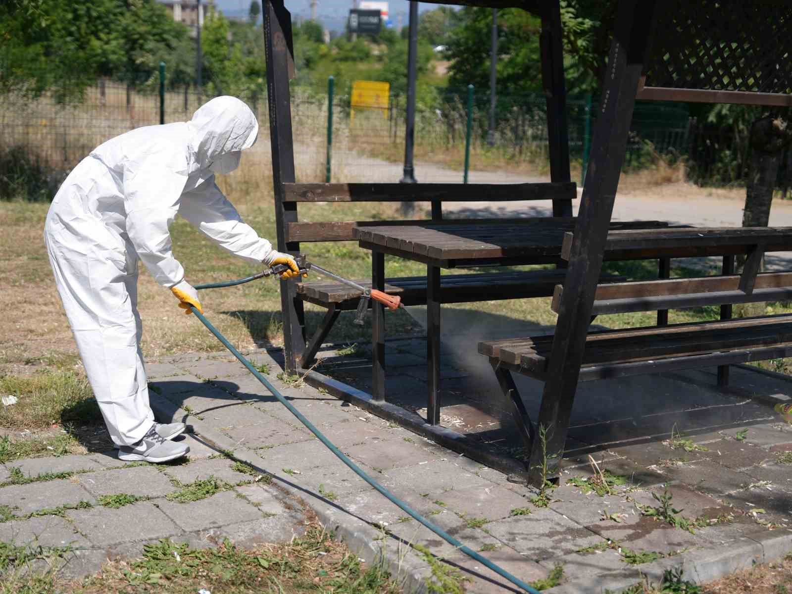 Kene mücadelesi başladı
