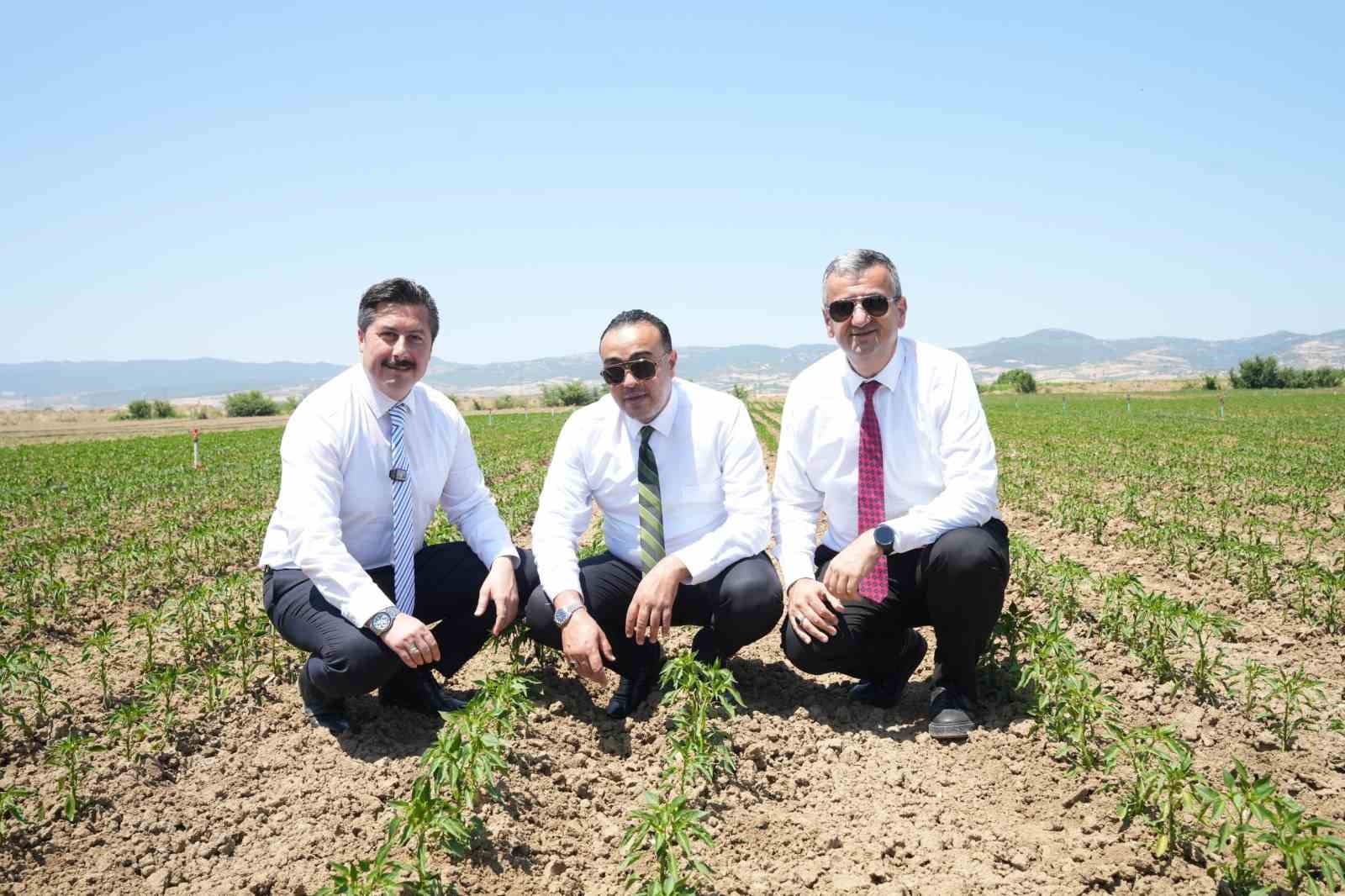 Yenişehir&rsquo;in tarım &uuml;r&uuml;nleri Libya&rsquo;ya ihracat edilecek
