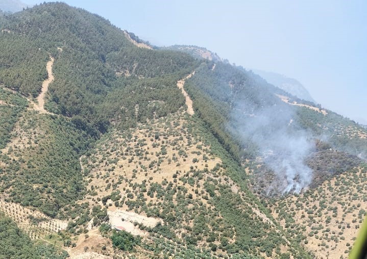 Manisa’da orman yangınına havadan ve karadan müdahale