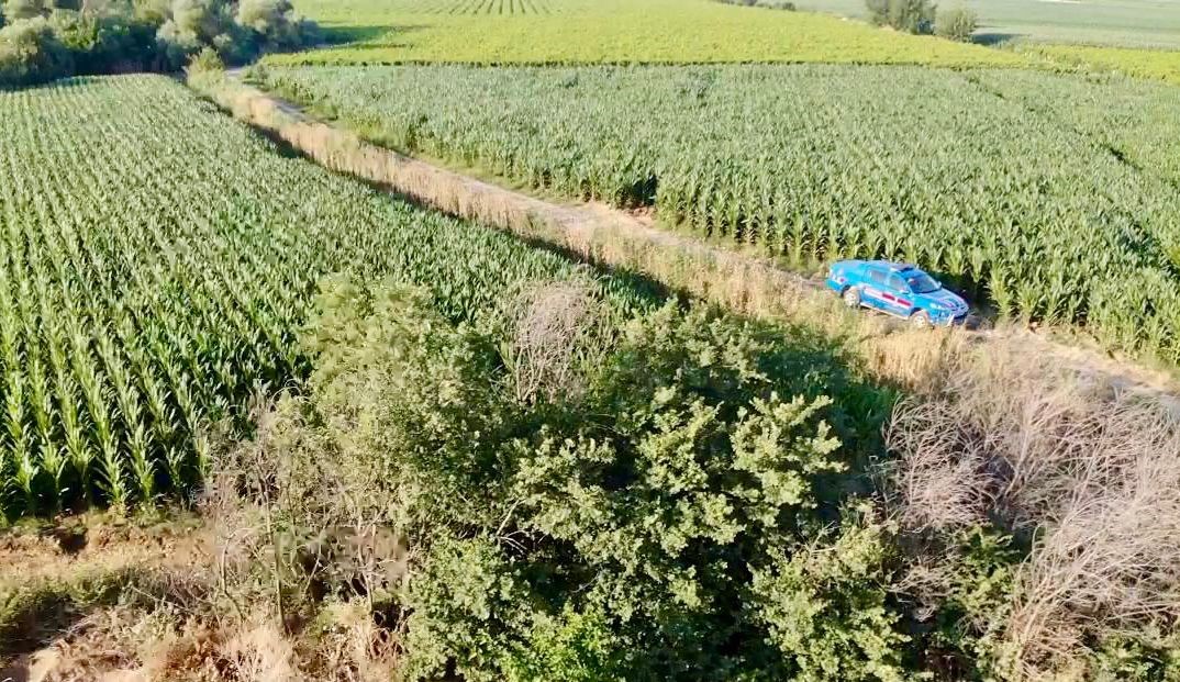 Manisa&rsquo;da yasadışı kenevir ekim alanlarına sıkı denetim
