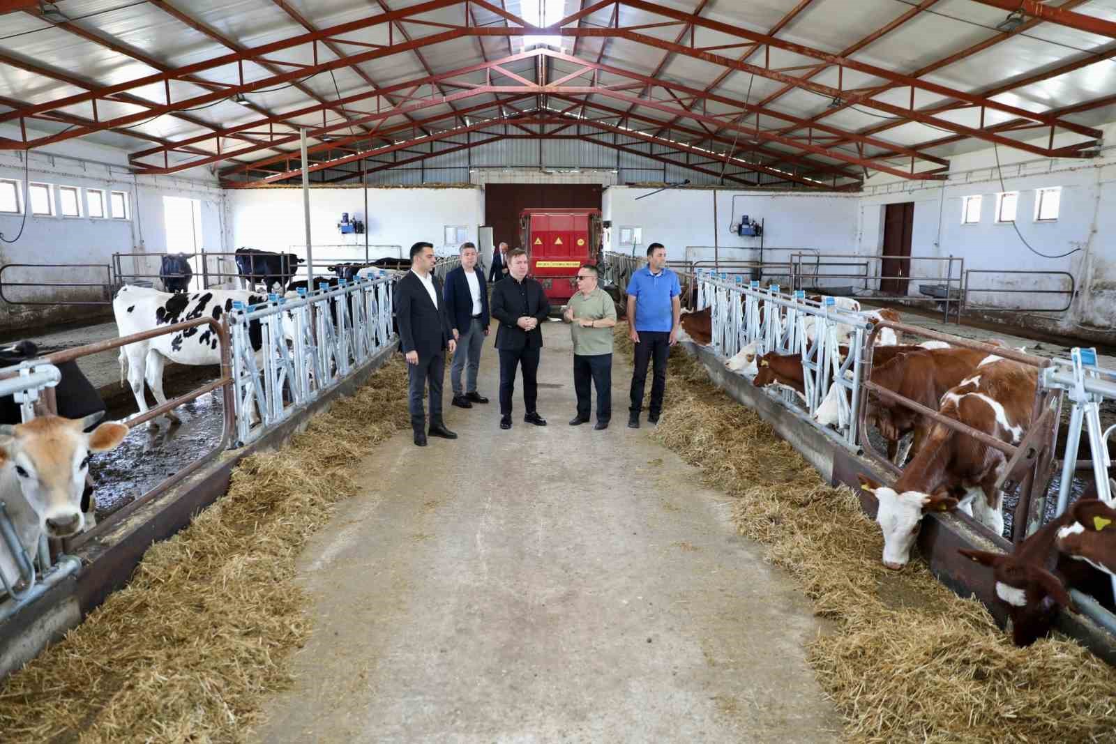 Vali Aydoğdu Düve Üretim Merkezi’nde incelemelerde bulundu