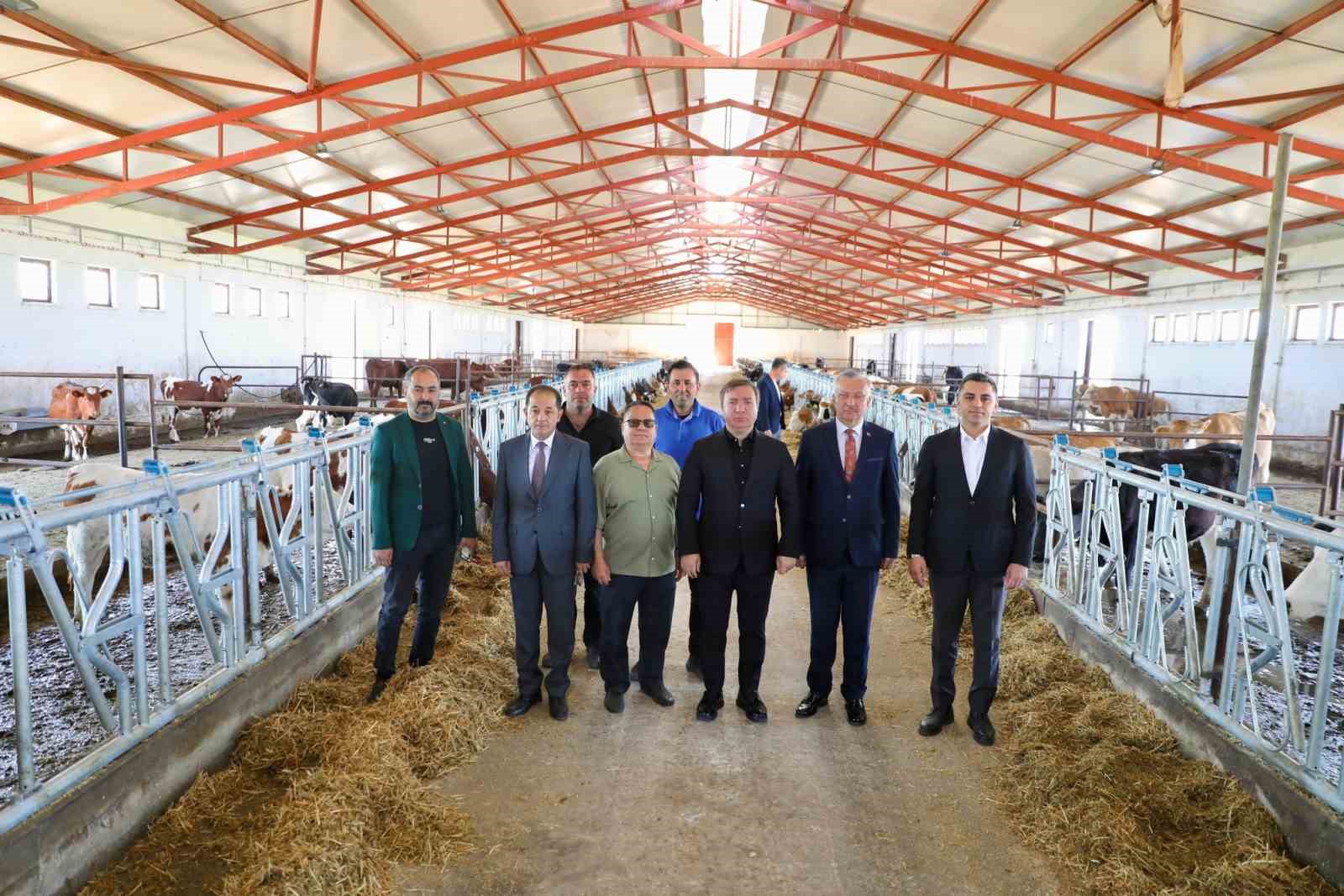 Vali Aydoğdu Düve Üretim Merkezi’nde incelemelerde bulundu