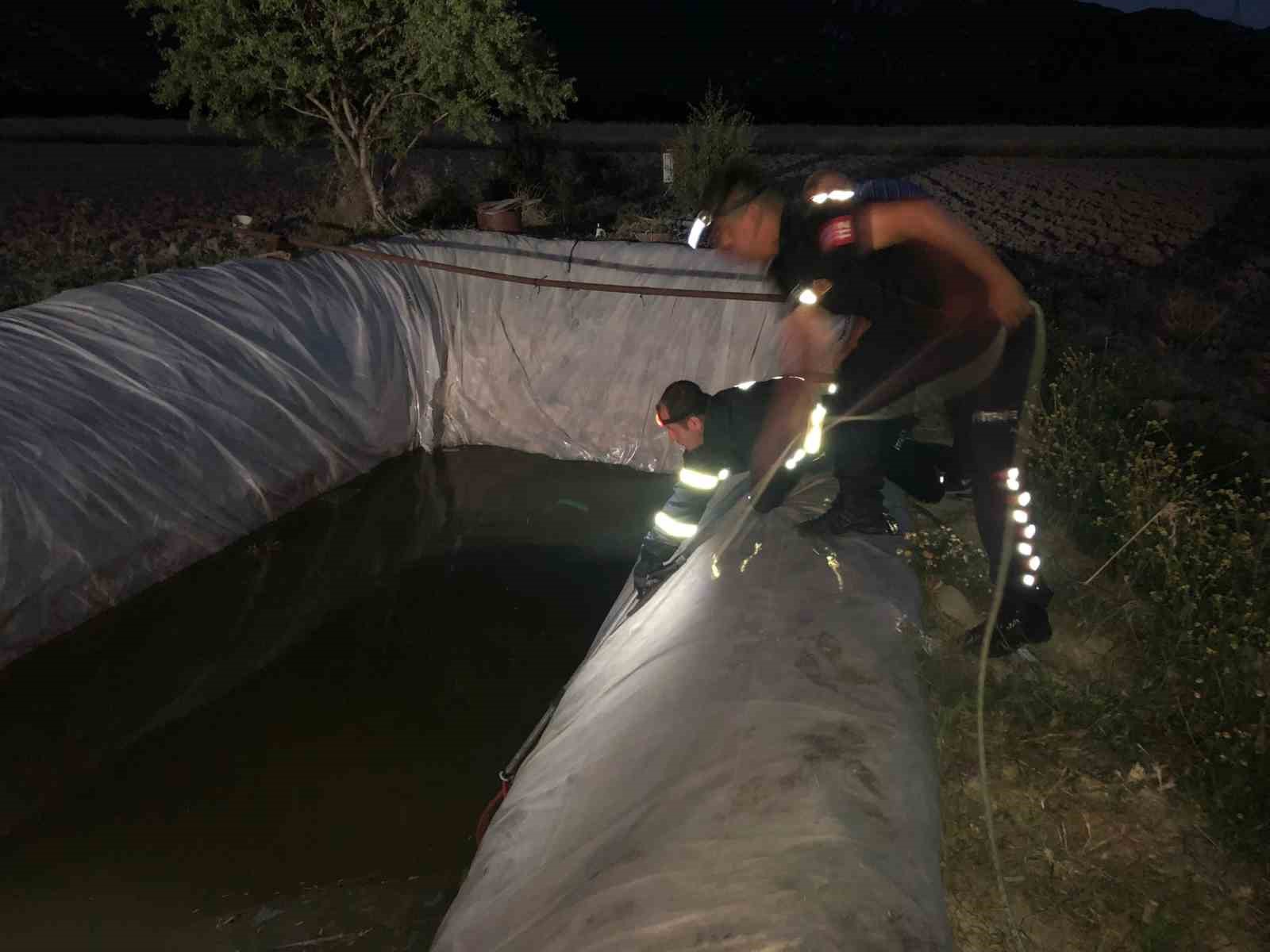 Su kuyusuna düşen sokak köpeği itfaiye ekiplerince kurtarıldı