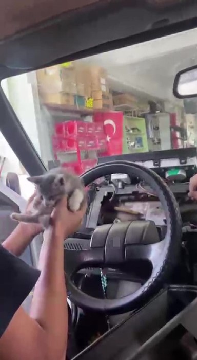 Otomobilin torpidosuna sıkışan yavru kedi, ustaların seferberliğiyle kurtarıldı
