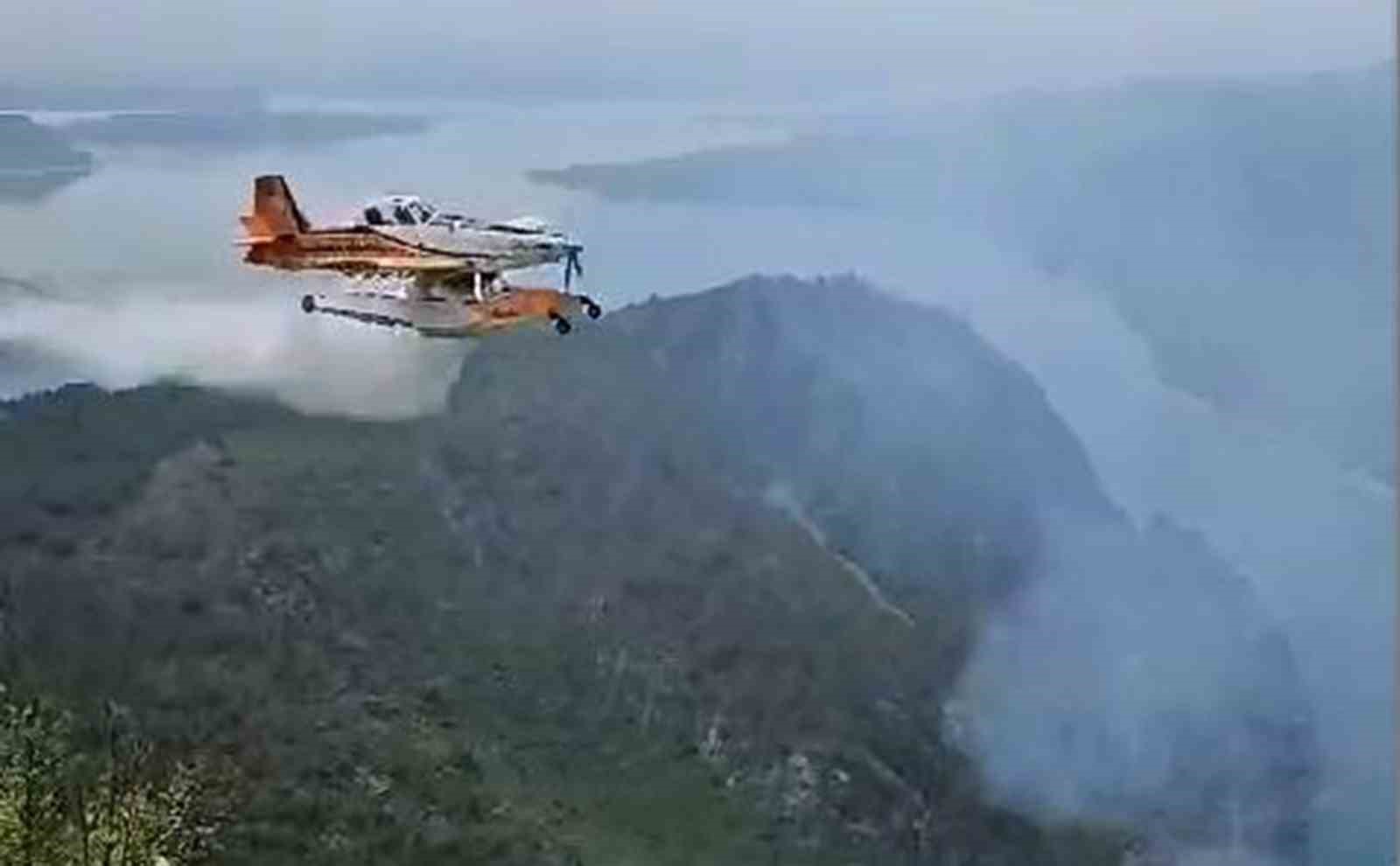 Samsun’da orman yangınlarına karşı sıkı önlem: Ormanlık alanlara girişler yasaklandı
