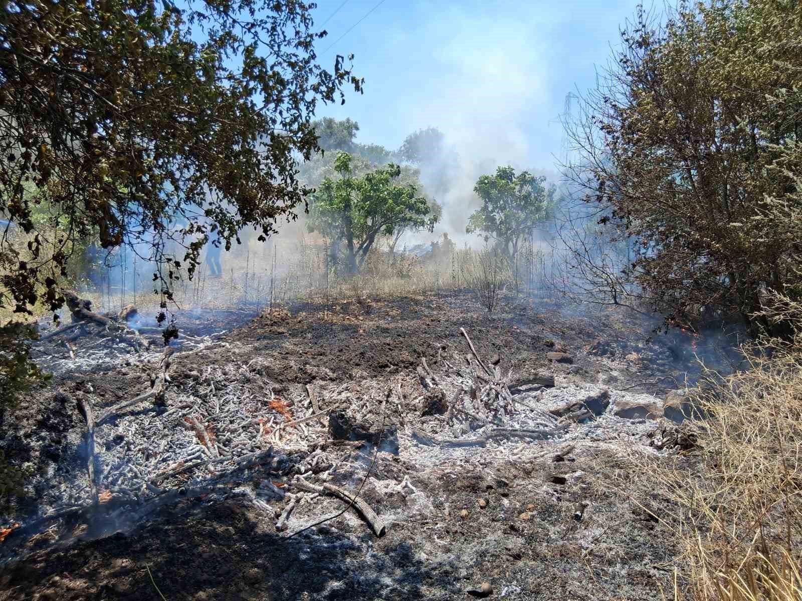 Bozdoğan’da arazi yangını
