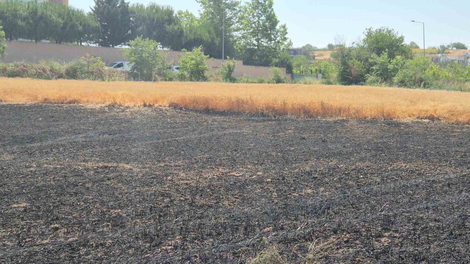 Şehir içindeki 30 dönümlük buğday tarlası alevlere teslim oldu