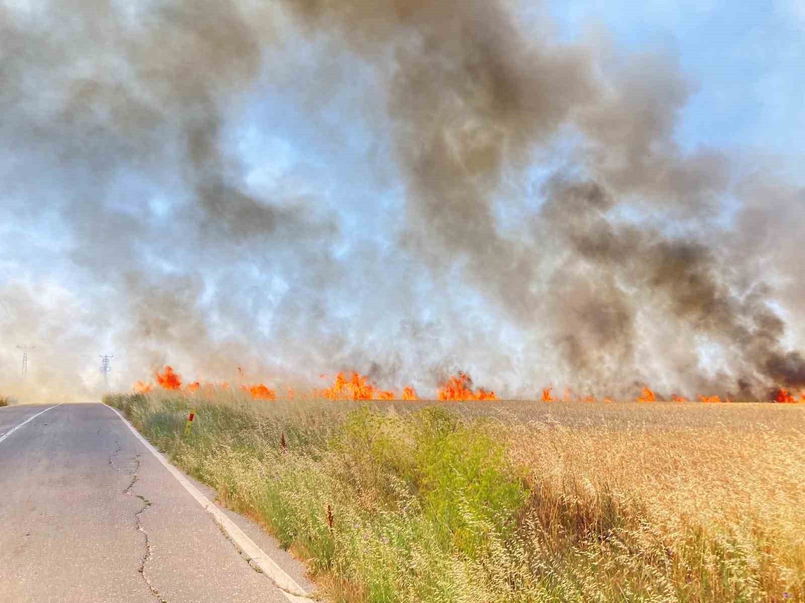 Tekirdağ&rsquo;da 250 d&ouml;n&uuml;m buğday yandı

