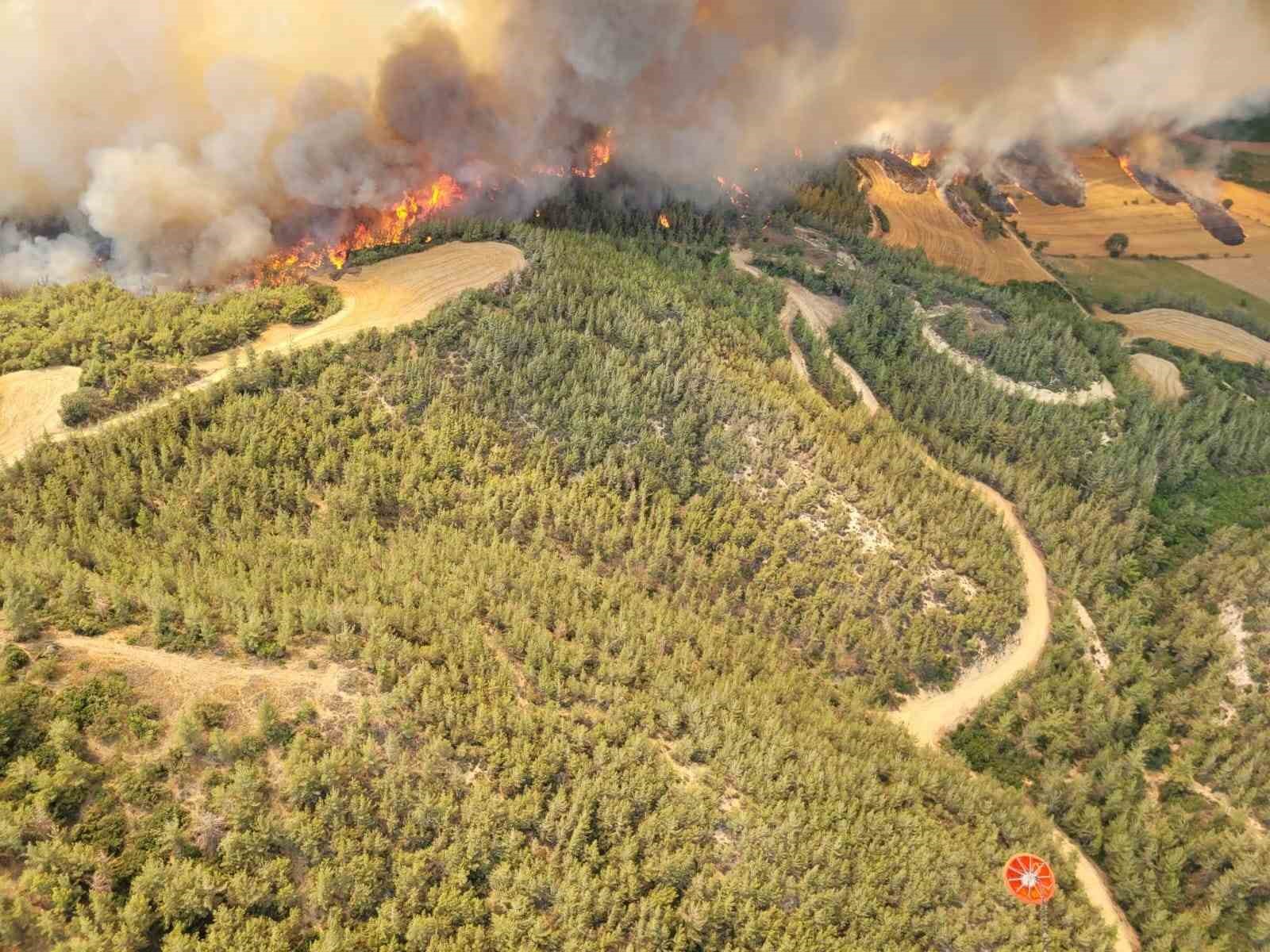 Adana’daki orman yangınına 12 helikopter ve 2 uçakla havadan müdahale