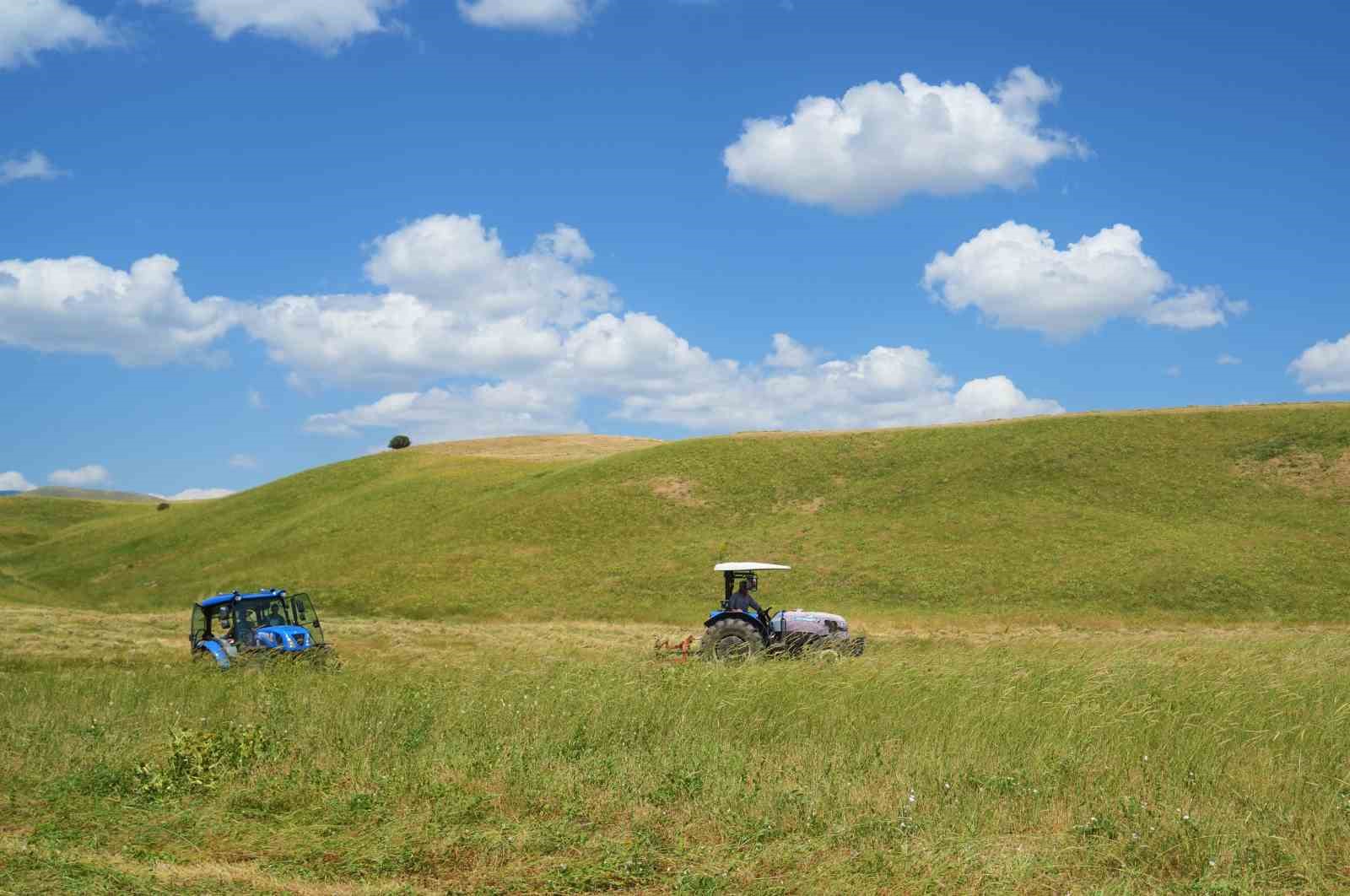Muş’ta çiftçilerin ot biçme mesaisi başladı