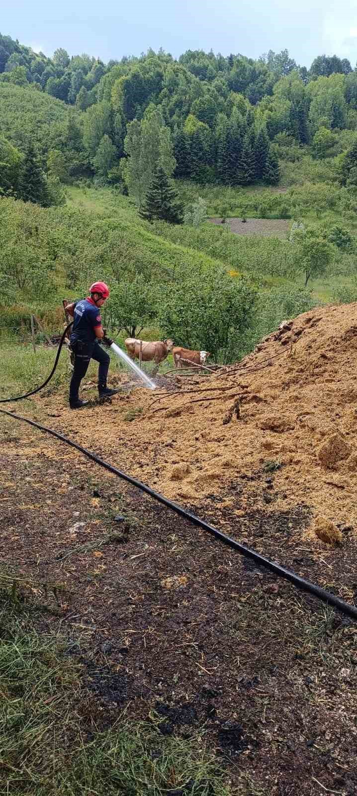 Sakarya’da samanlık ve ahırda çıkan yangında 24 civciv telef oldu
