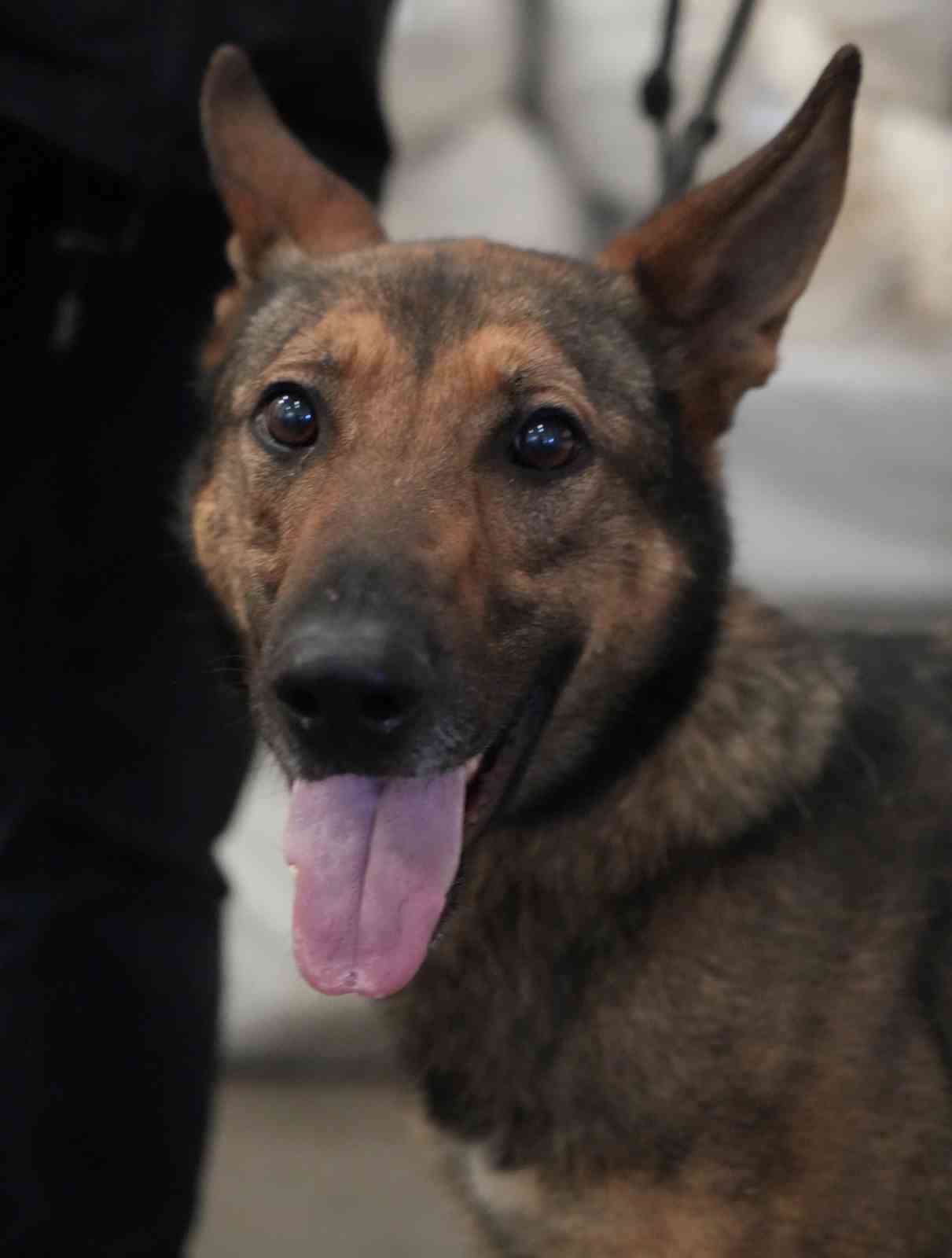 Kapıkule&rsquo;de 212 kilo uyuşturucu ele ge&ccedil;irildi: 3 G&ouml;zaltı
