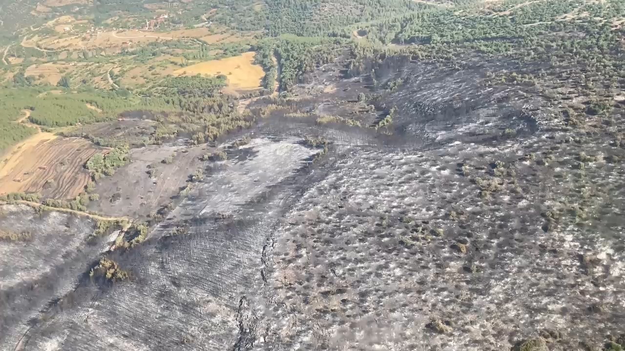 Kepsut’taki orman yangınları kontrol altına alındı