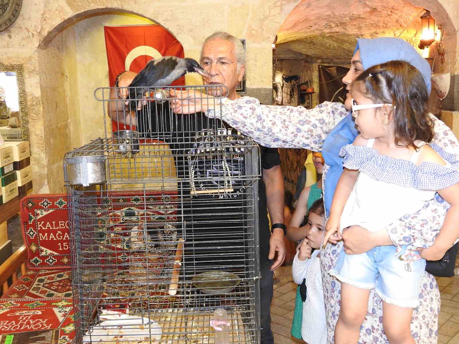 Esnafın sahiplendiği karga ile dostluğu görenleri hayrete çeviriyor