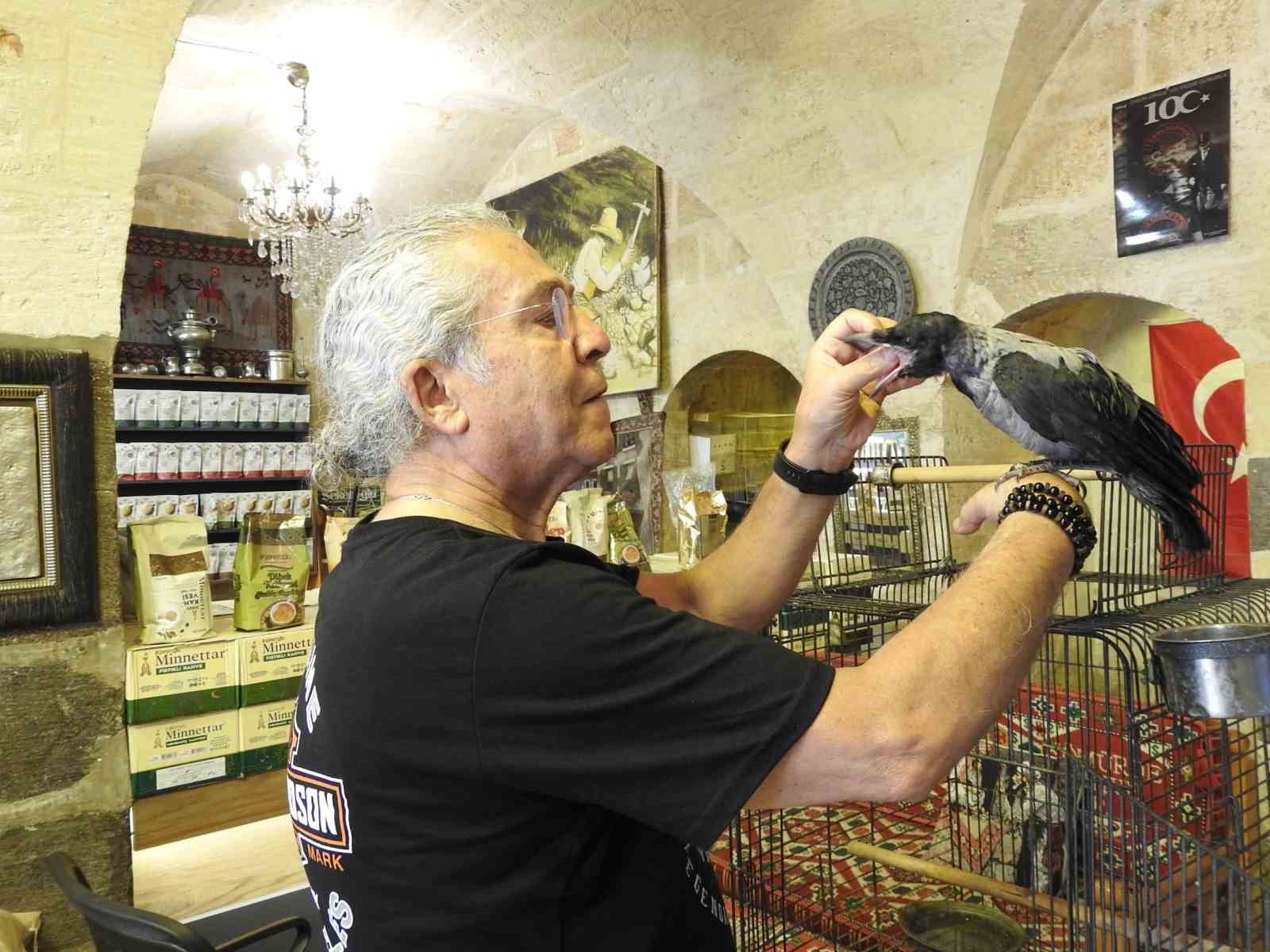 Esnafın sahiplendiği karga ile dostluğu g&ouml;renleri hayrete &ccedil;eviriyor
