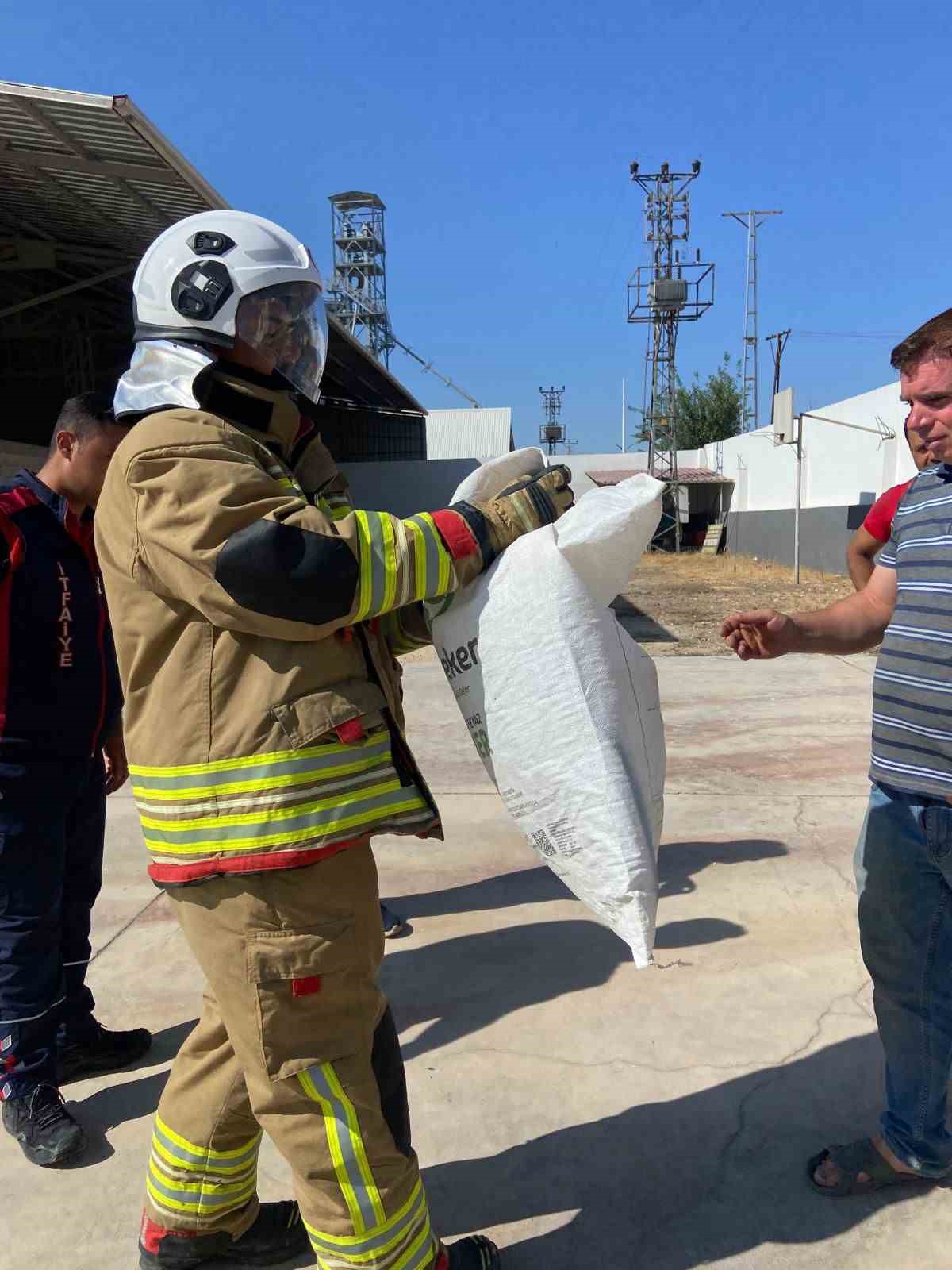 Doğaya bırakıldığı esnada y&ouml;n&uuml;n&uuml; şaşıran yılan g&uuml;l&uuml;msetti
