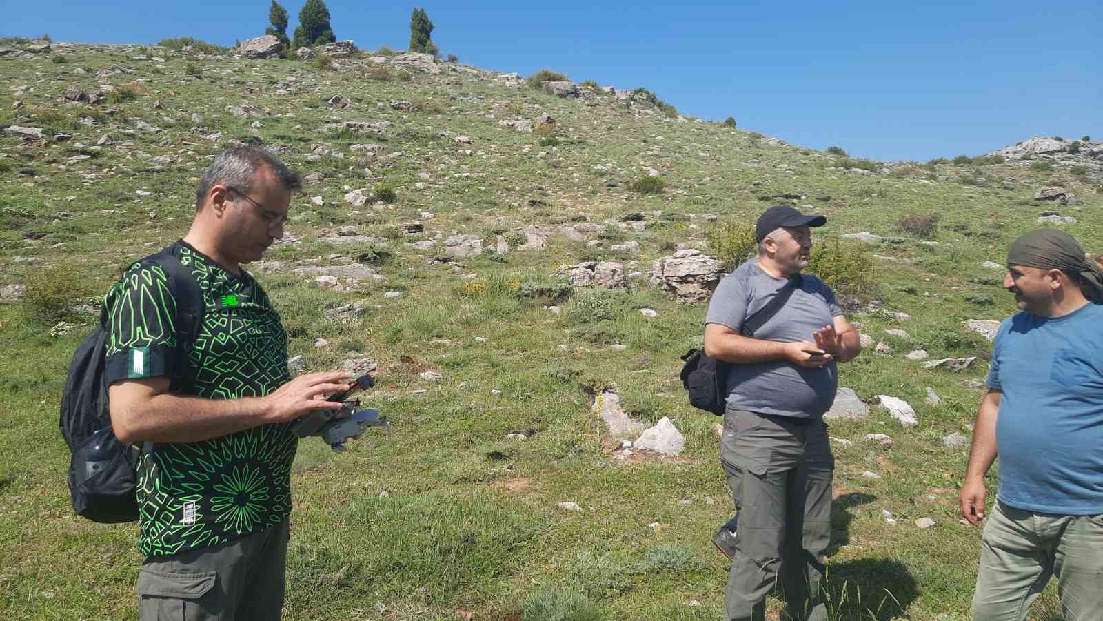 Bozkır&rsquo;ın y&uuml;ksek rakımlı yaylalarındaki bitki florası araştırıldı

