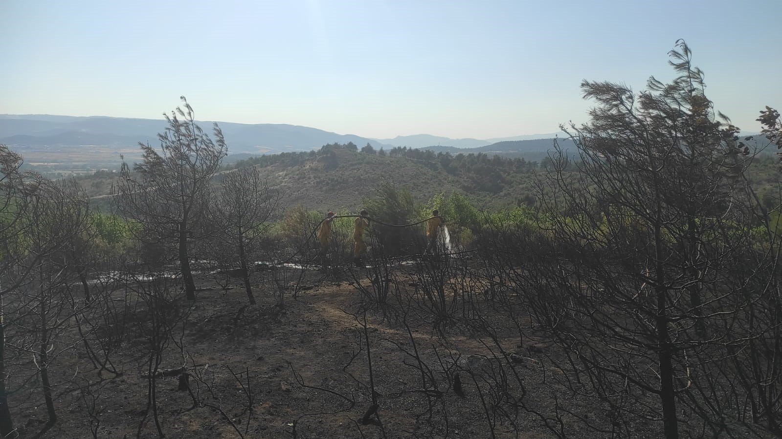 Bilecik’te buğday tarlasında çıkan yangın ormanlık alana sıçradı