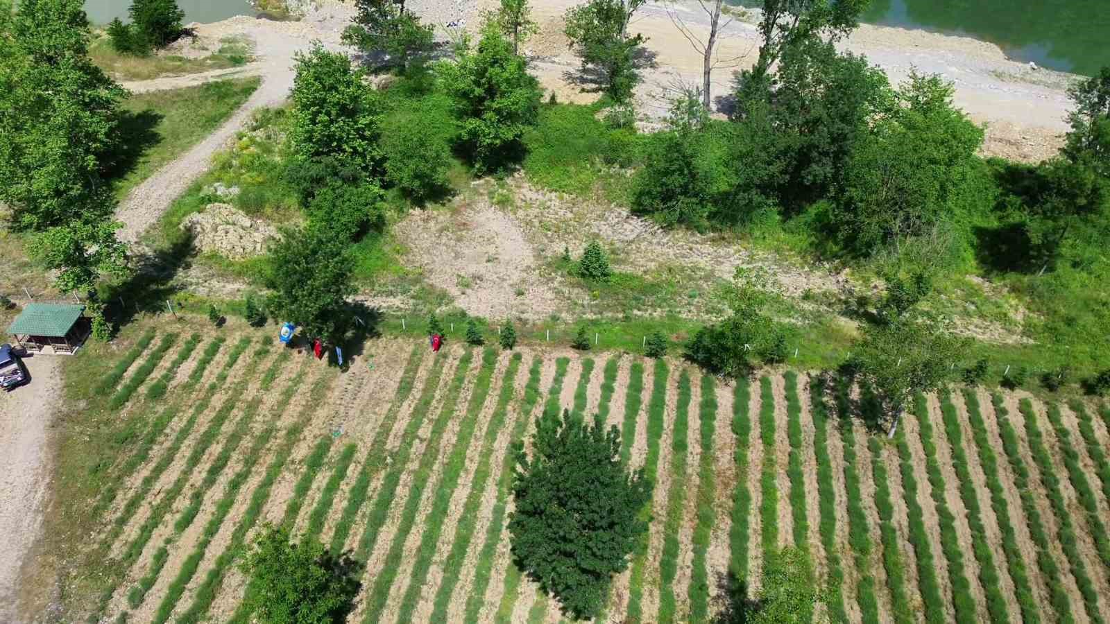 Çocuklara doğa sevgisi aşılayan etkinlik; "Bir Sınıf Bir Orman"
