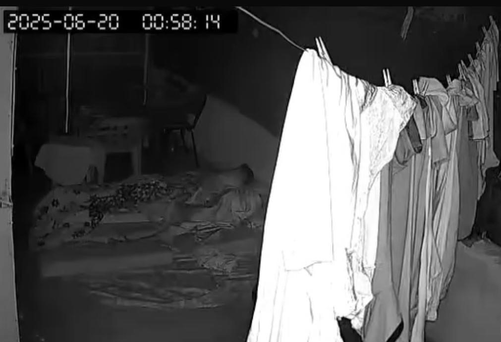 Damda uyuyan kişi, savaş uçağı sesinden korkup içeri kaçtığı anlar kameraya yansıdı