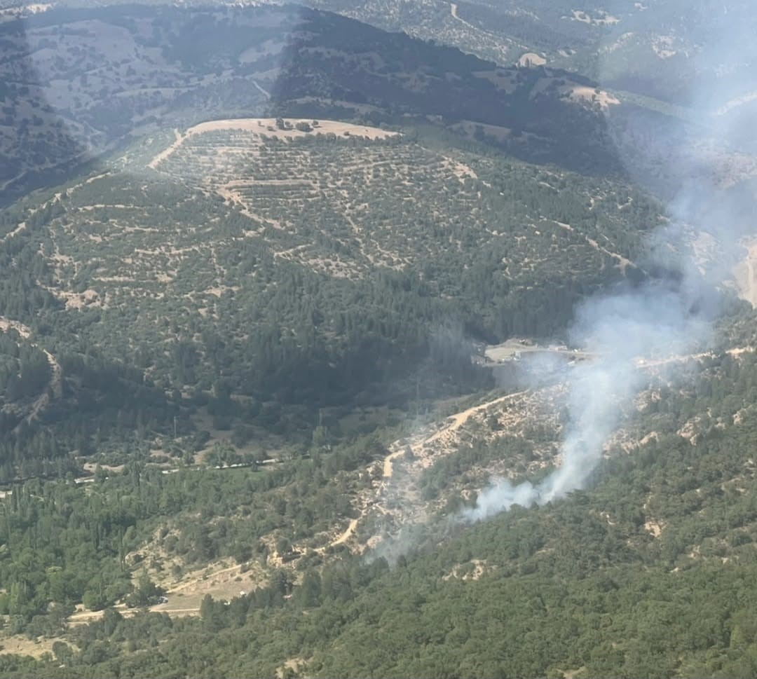 K&uuml;tahya&rsquo;daki orman yangınında 8 dekar alan zarar g&ouml;rd&uuml;
