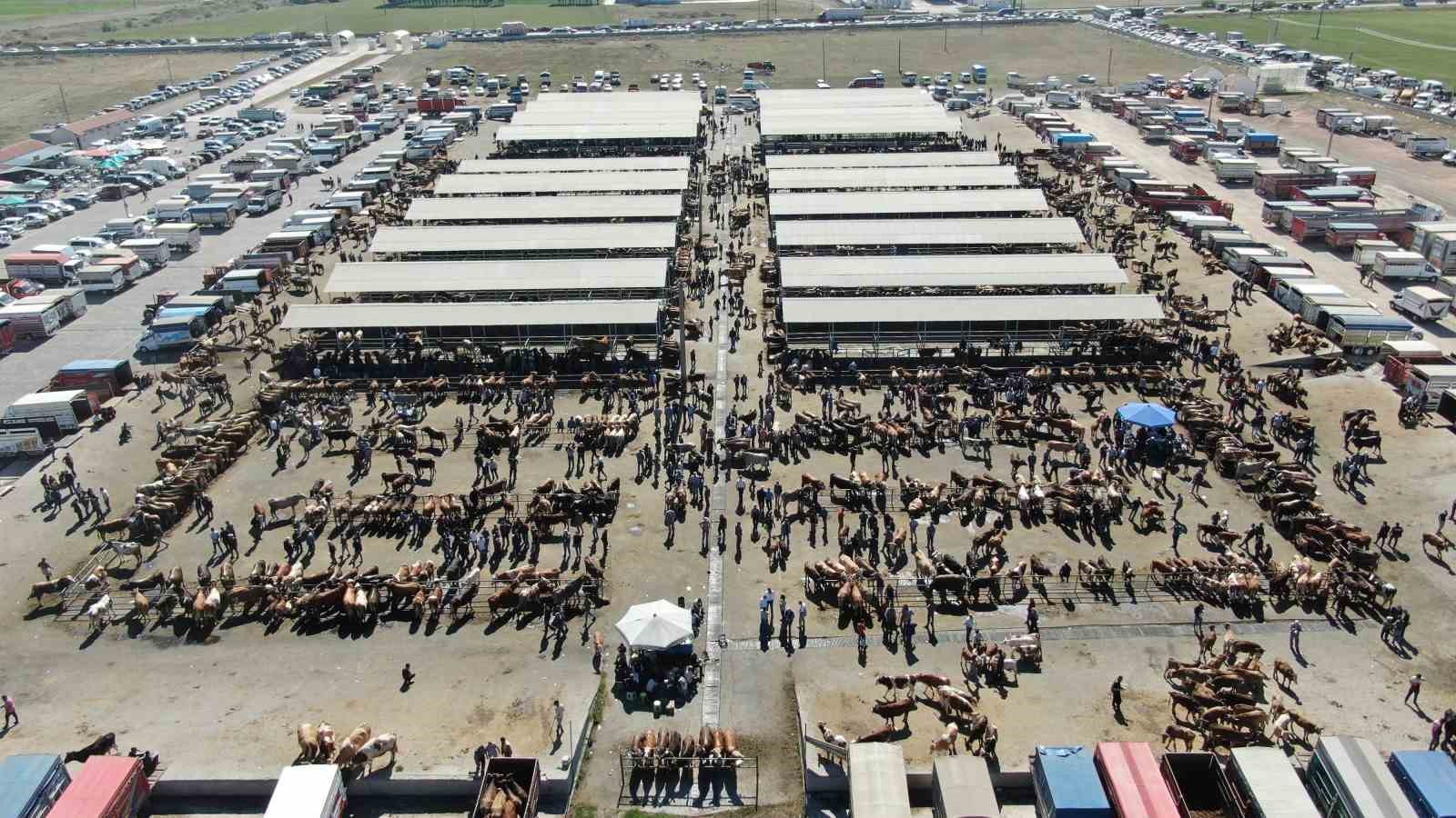 Şap hastalığı arttı, Sivas’ta hayvan pazarları kapatıldı
