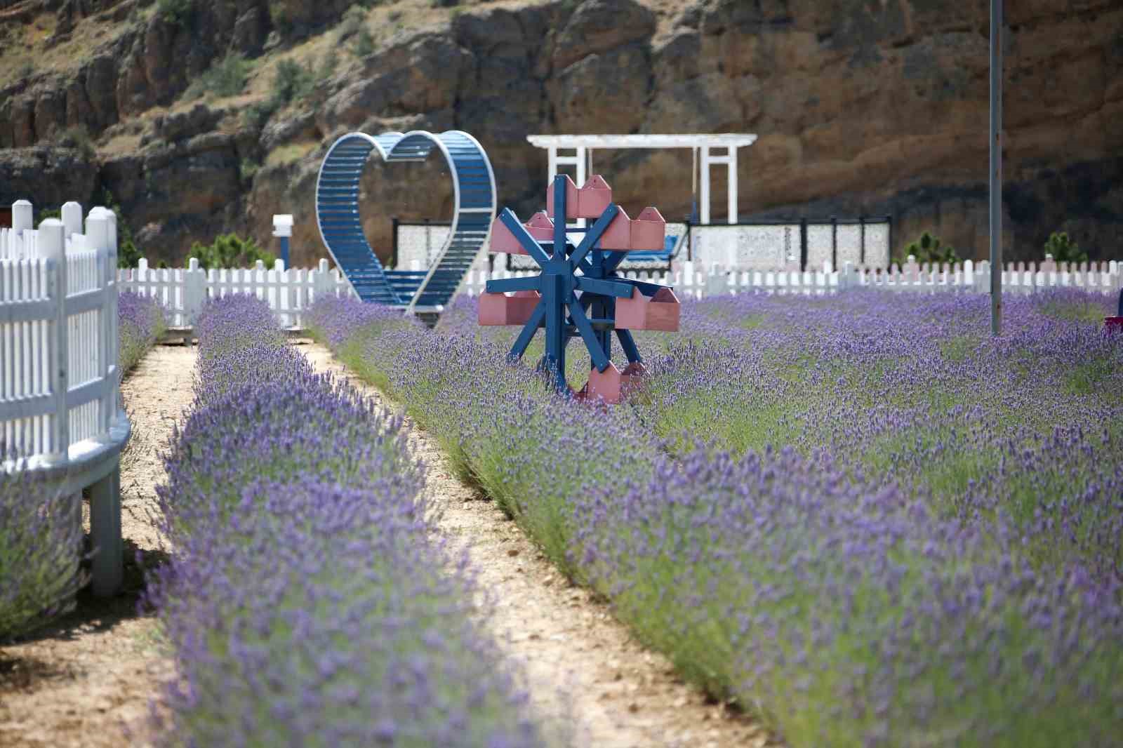 Meram&rsquo;da g&ouml;rsel şov yeniden başladı
