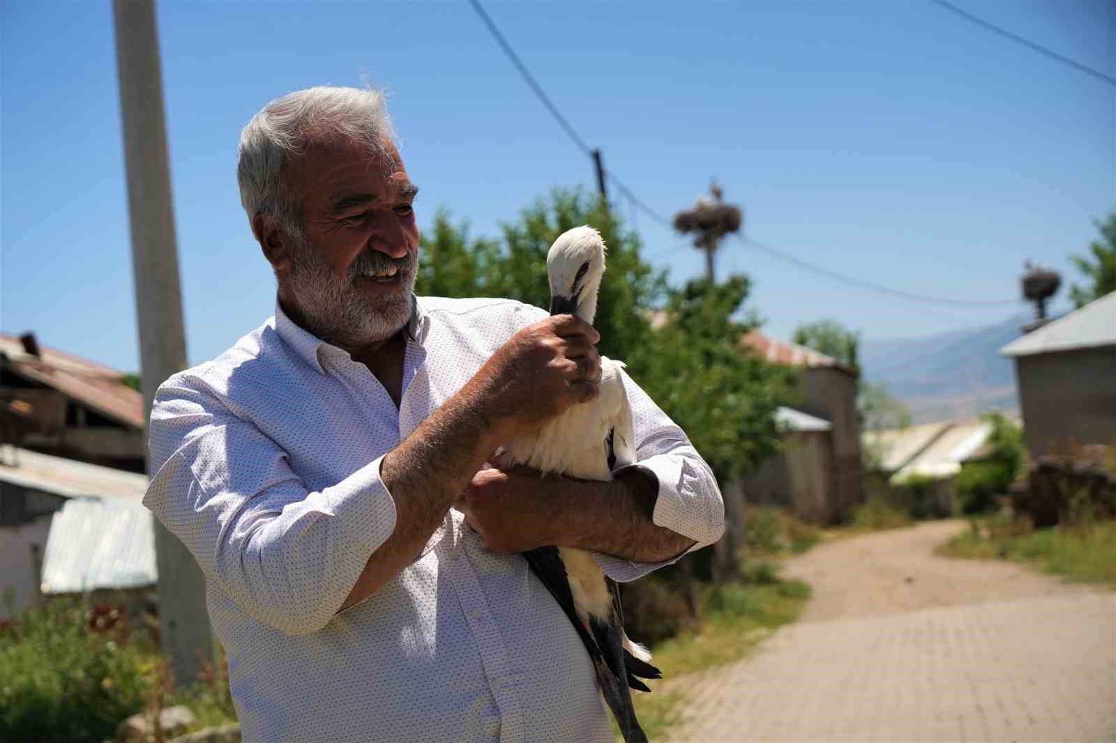 Yuvadan düşen leylek yavrusu koruma altına alındı