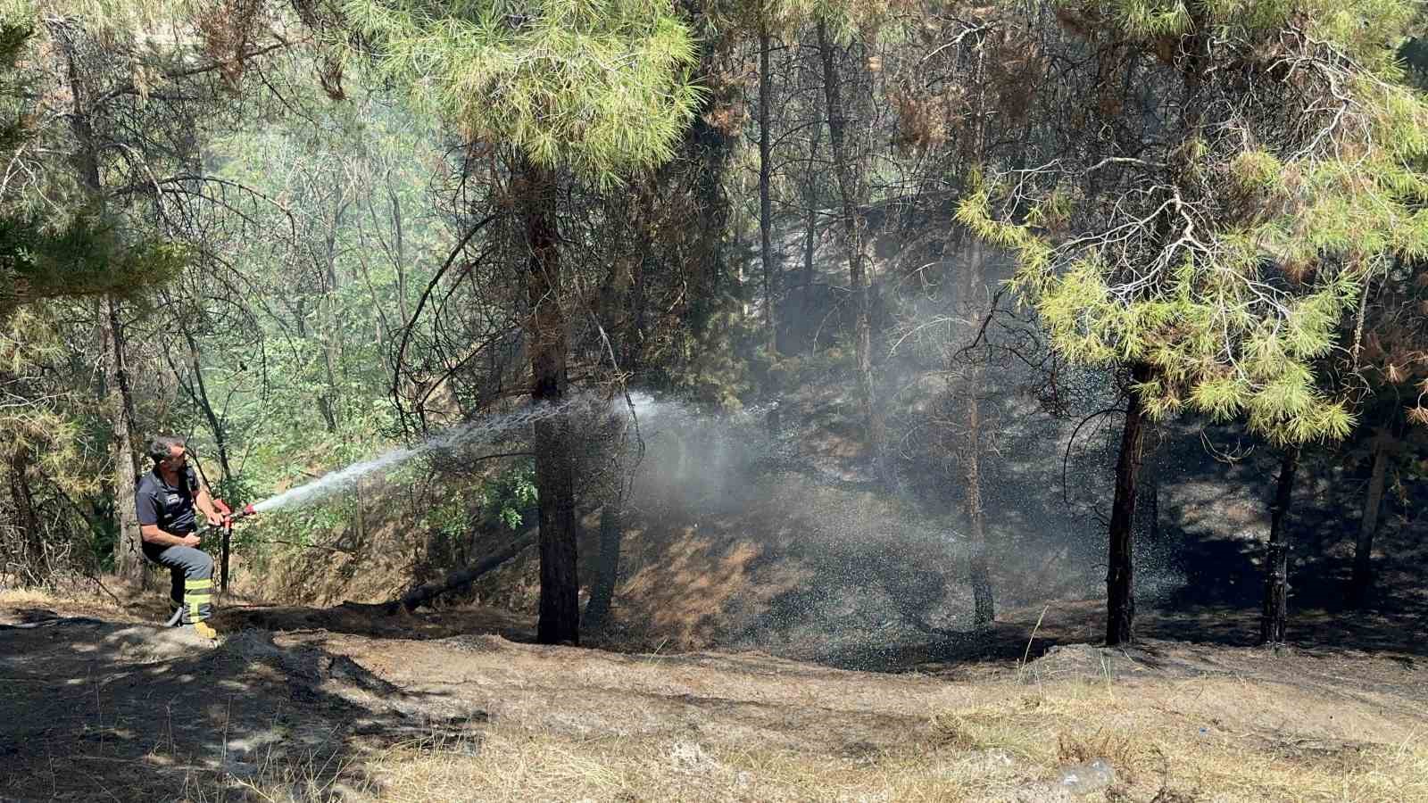 &Ccedil;ocukların &ccedil;akmakla oyunu ormanı yaktı
