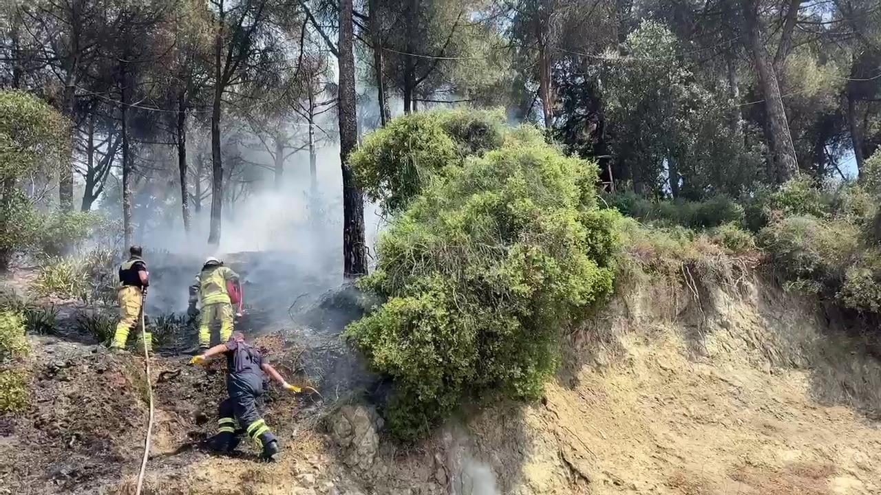 Gemlik’te çamlık alanda çıkan yangın kısa sürede söndürüldü
