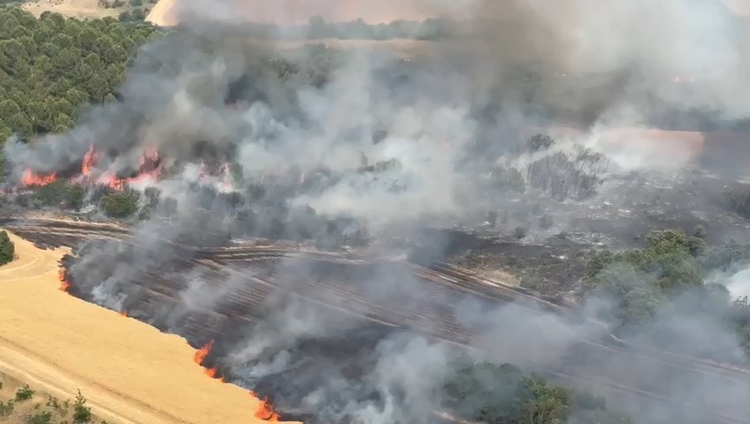 Bursa’da buğday tarlaları alevlere teslim oldu