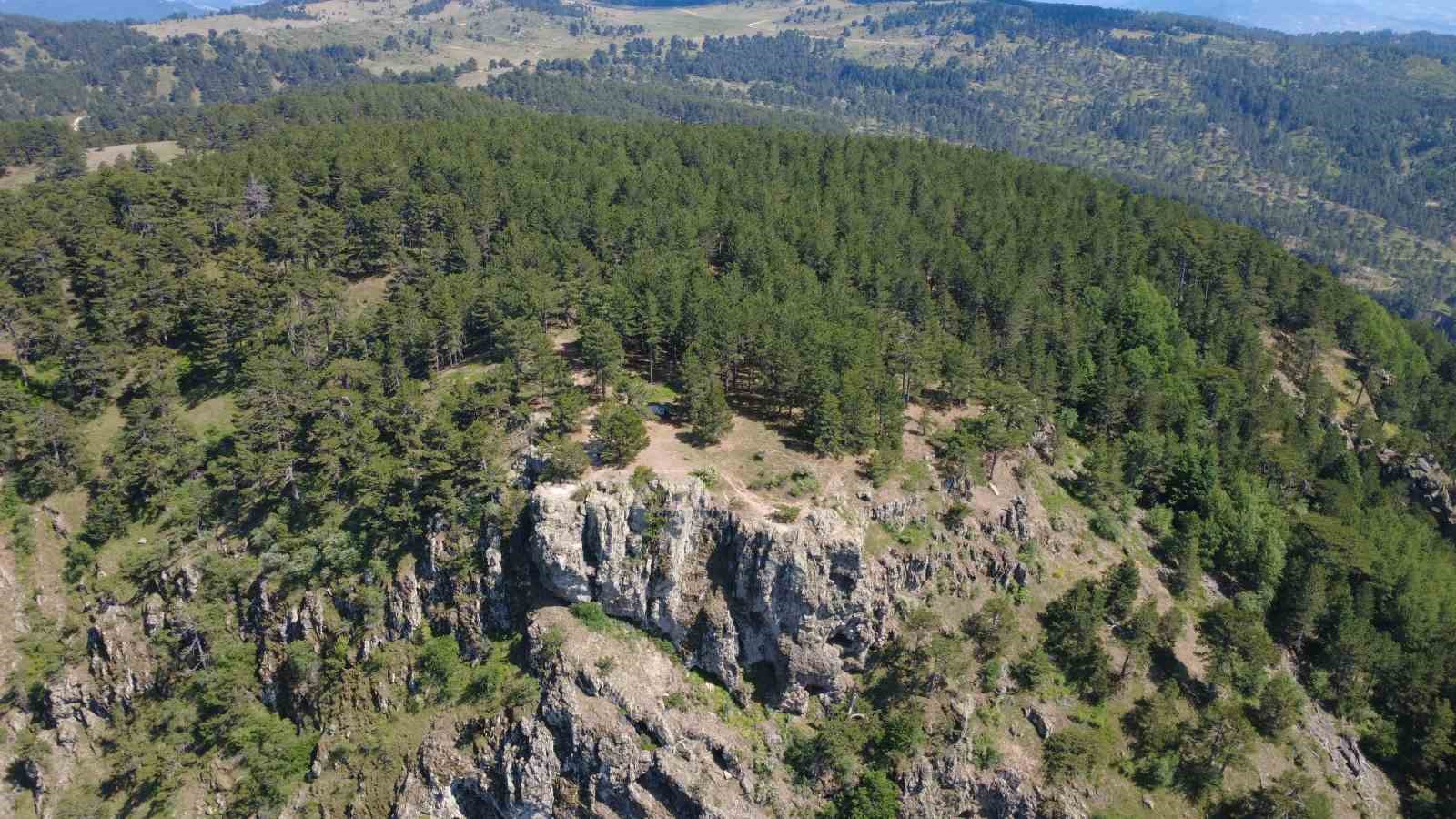 Gelin Uçtu Tabiat Parkı tescillendi