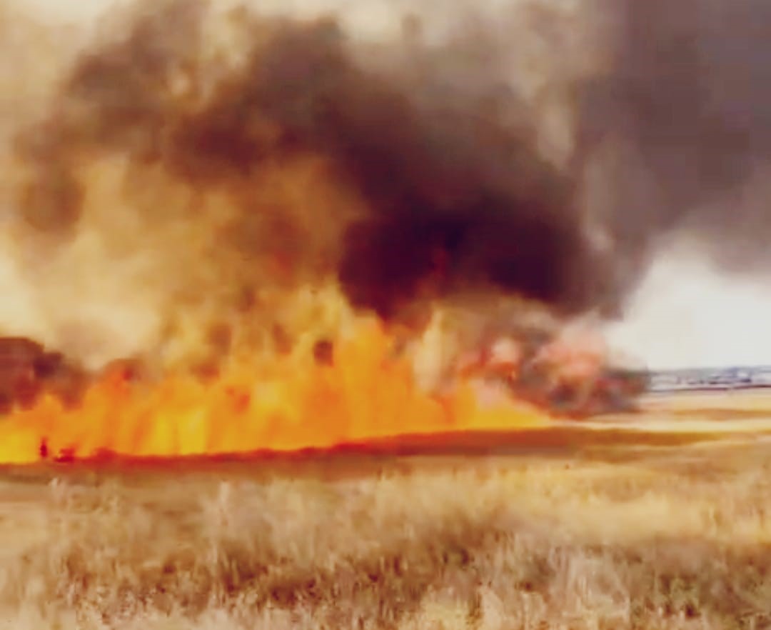 Diyarbakır’da biçilmemiş 30 dönüm buğday yangında kül oldu