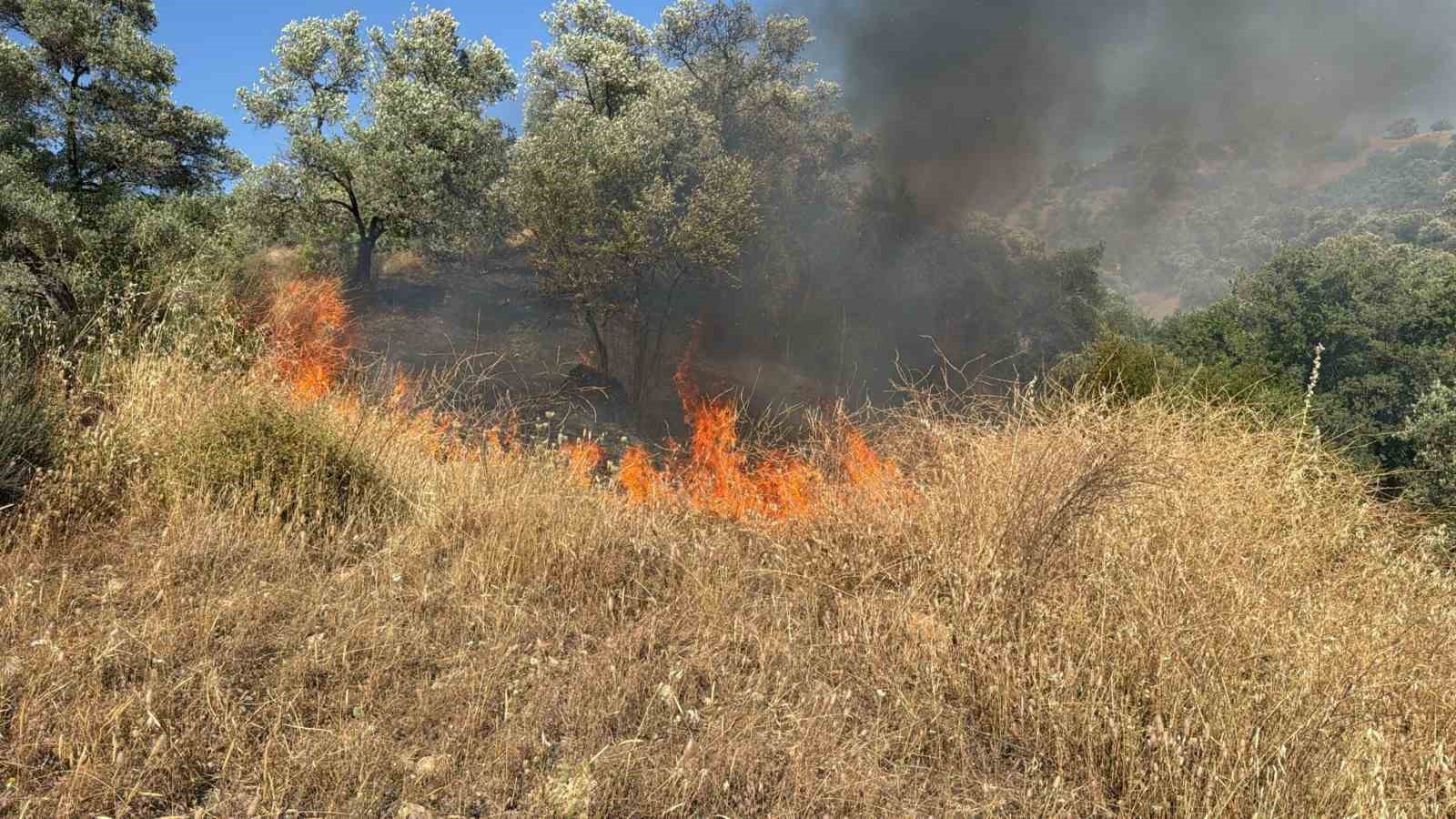 Aydın’da zirai alanda yangın çıktı